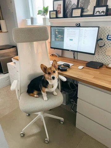 Top 10 Home office setups on Twitter: March 2021 12 Top 10 Home office setups on Twitter: March 2021 Top 10 Home office setups on Twitter: March 2021 12 Top 10 Home office setups on Twitter: March 2021